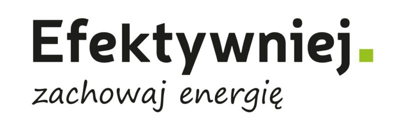 Logo systemu Program SAE